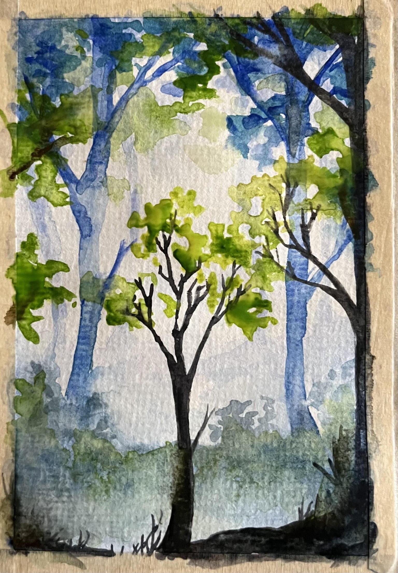 Watercolor Misty Forest 1 - image 1 - student project