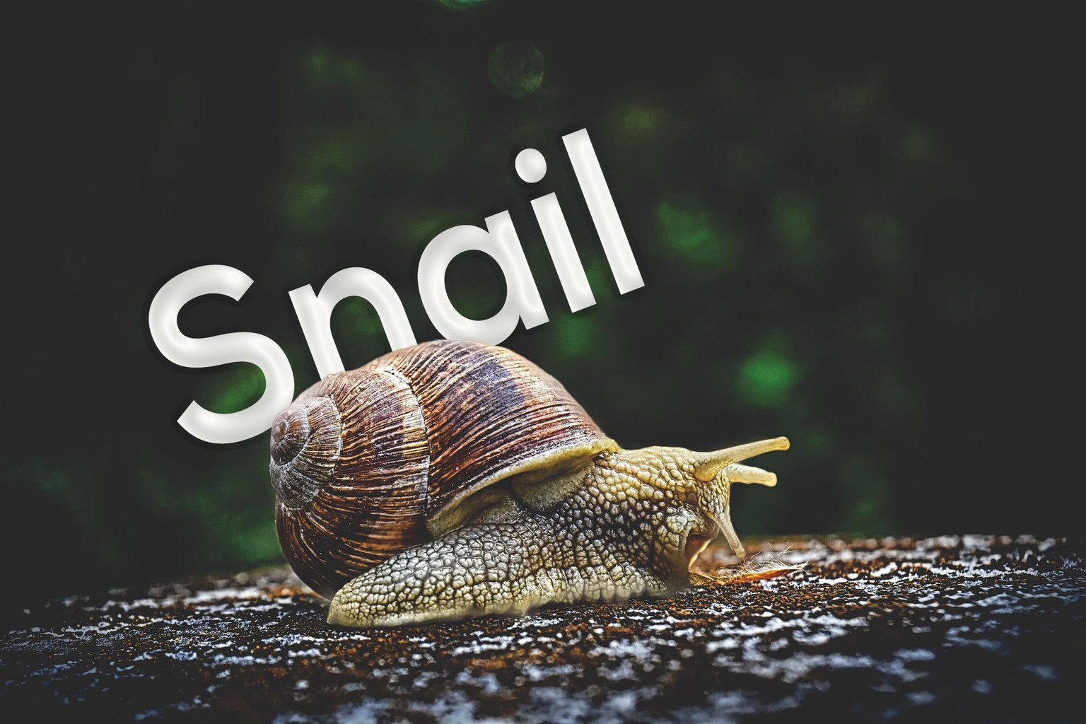 photoshop - essentials Trainings - image 12 - student project