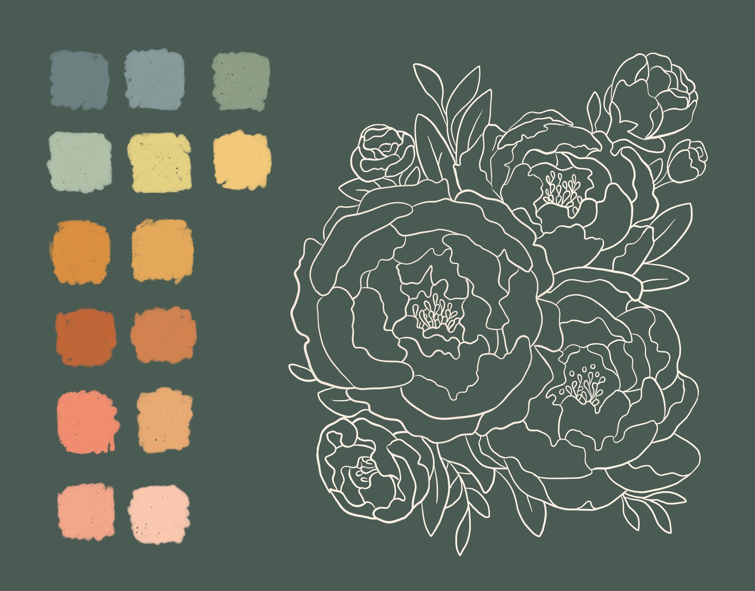 Illustrated Peonies - image 2 - student project