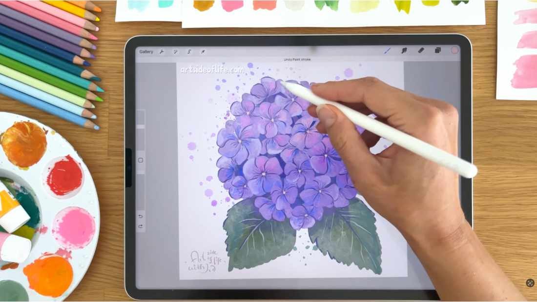 Hydrangea - image 1 - student project
