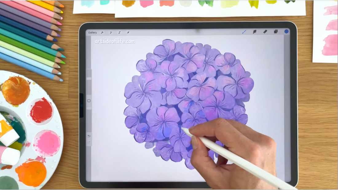 Hydrangea - image 2 - student project