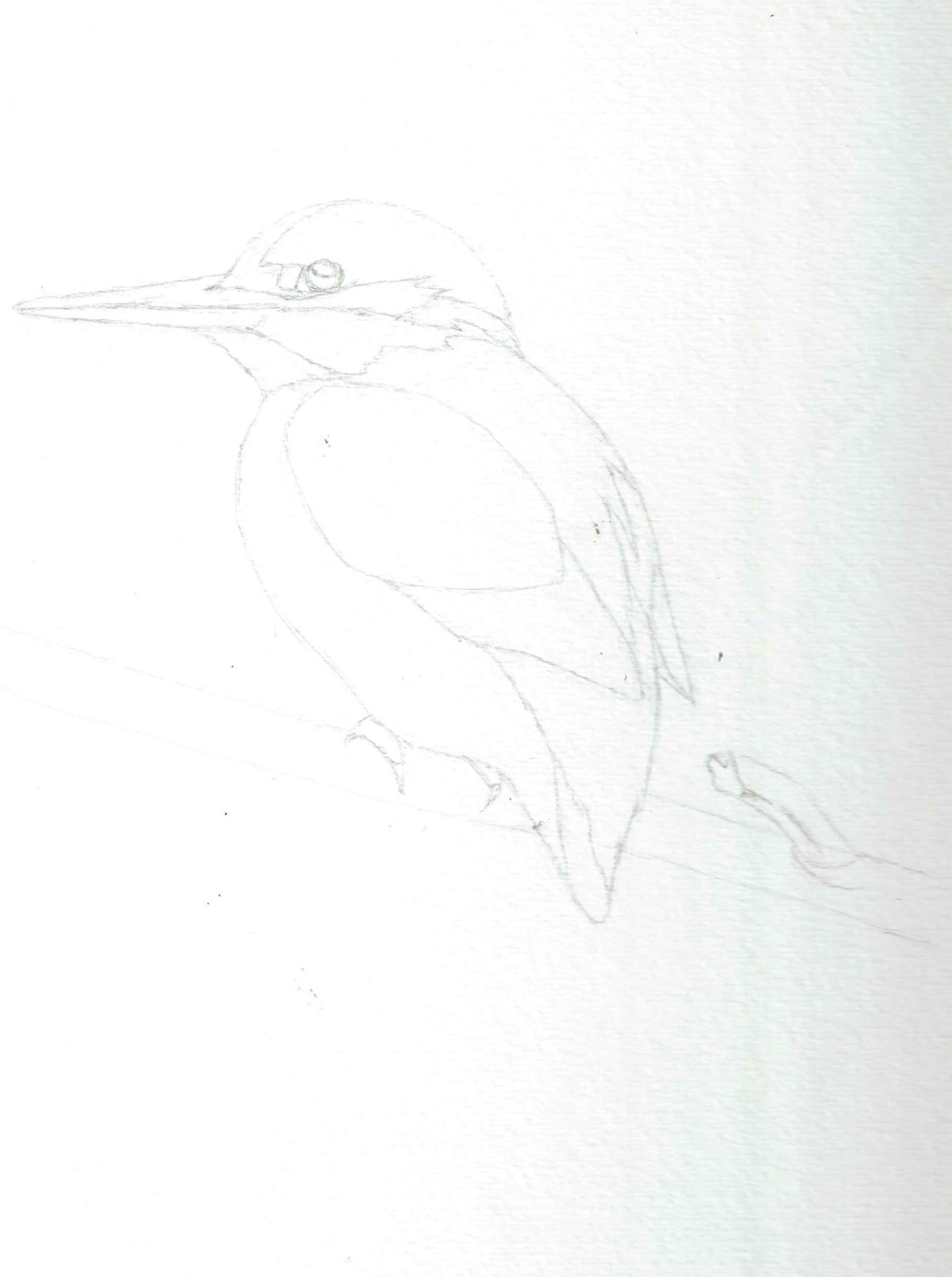 Watercolour Kingfisher in progress - image 2 - student project