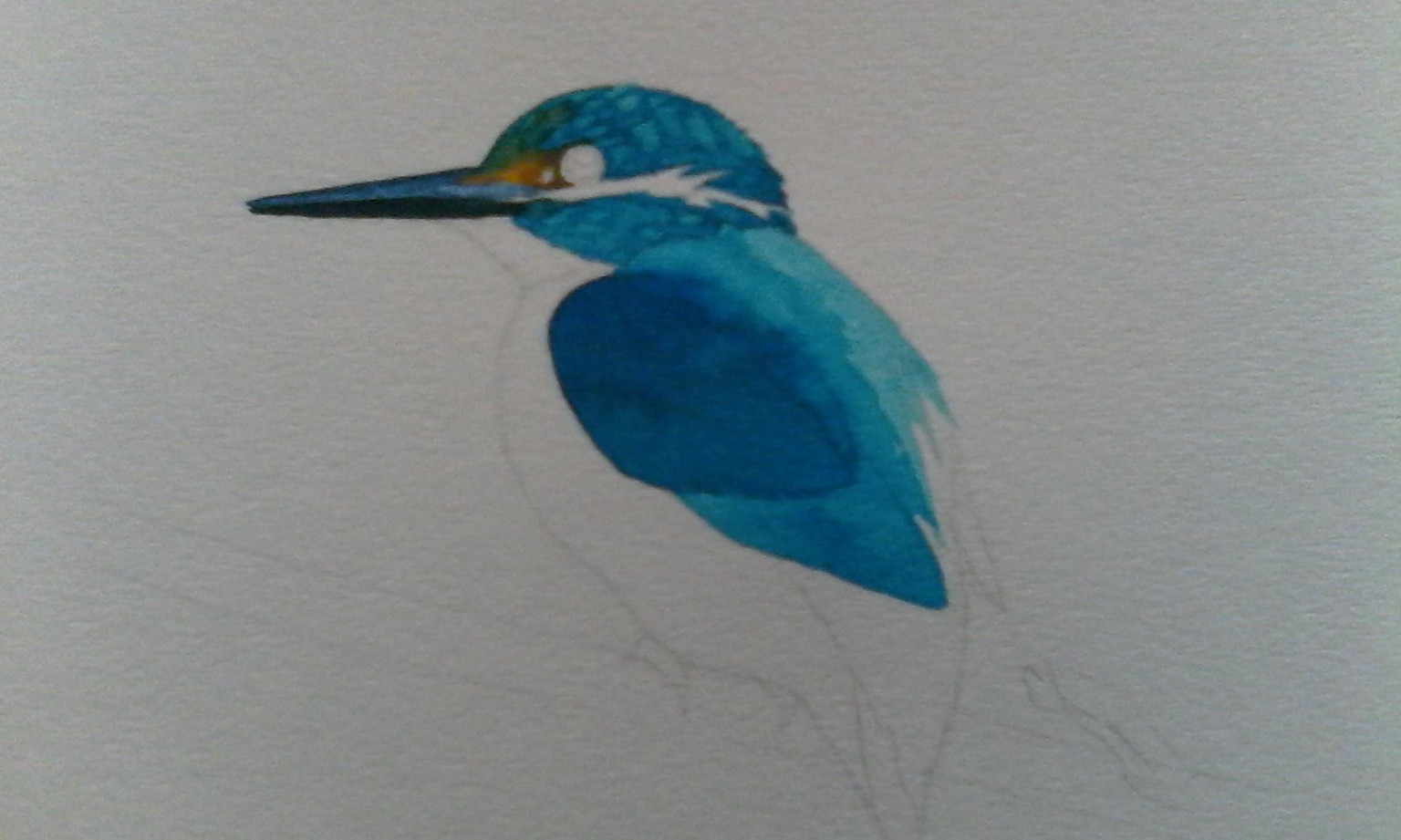 Watercolour Kingfisher in progress - image 3 - student project