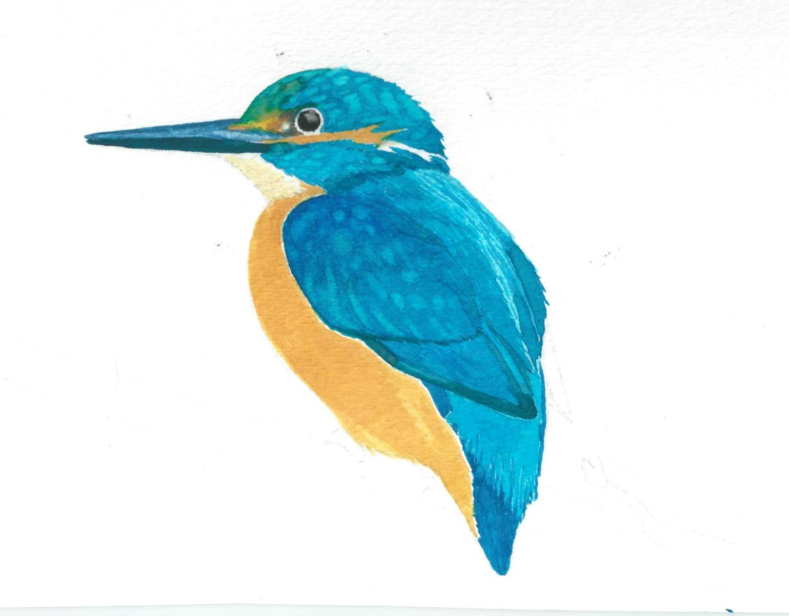 Watercolour Kingfisher in progress - image 5 - student project