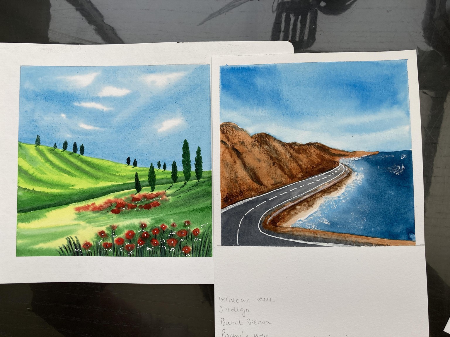 Zaneena Nabeel courses - image 1 - student project