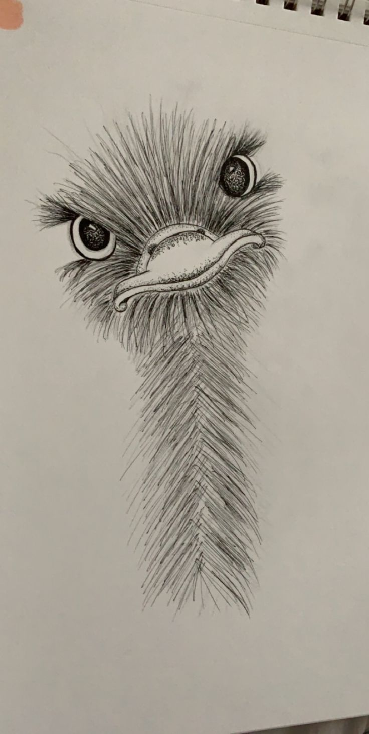 My first terrible drawing - image 1 - student project