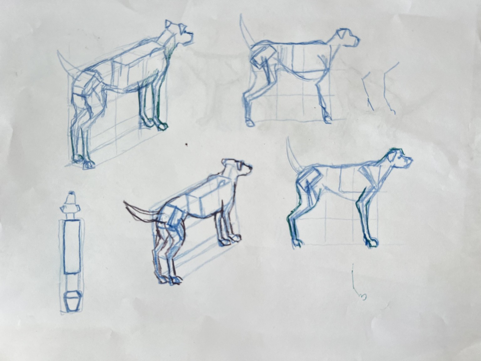 Box dogs - image 3 - student project