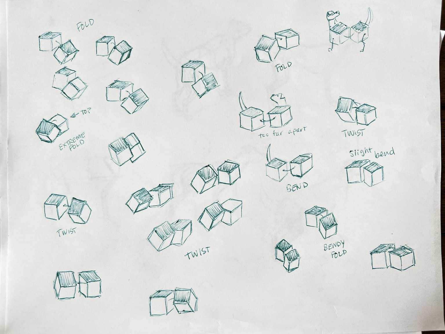 Box dogs - image 1 - student project
