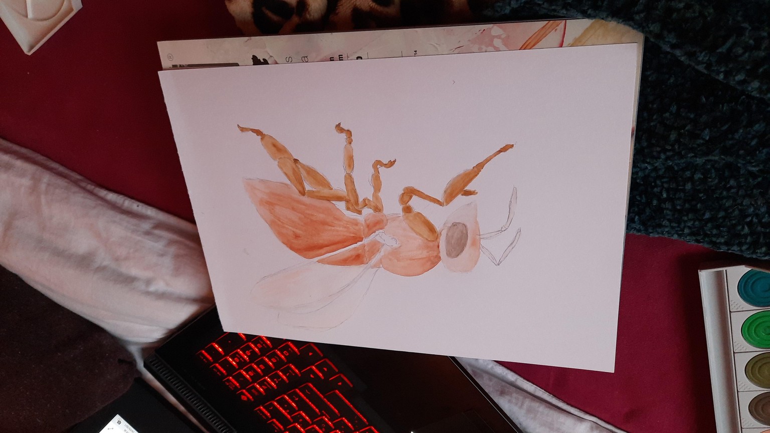 Mixed media bee - image 2 - student project
