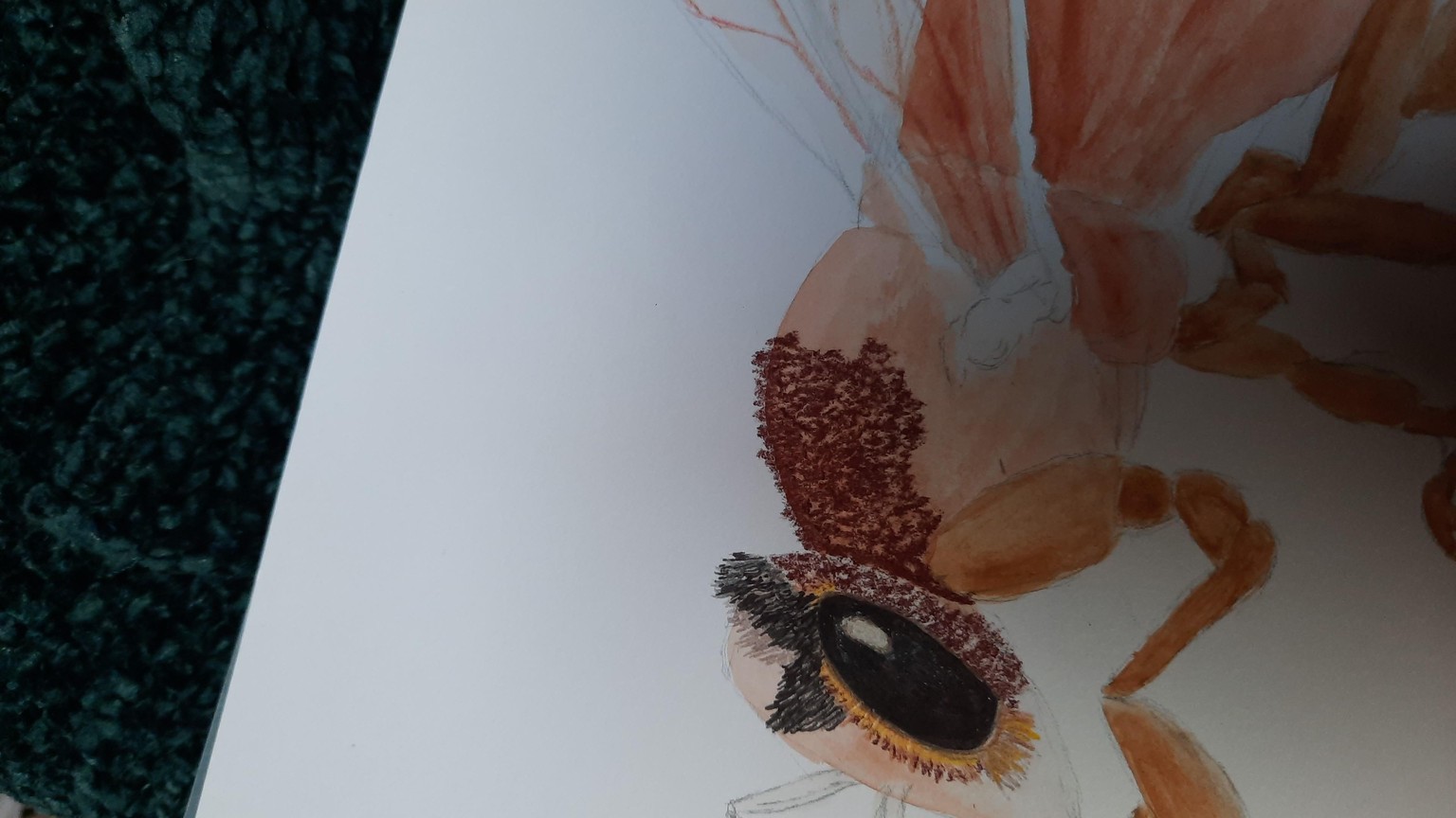 Mixed media bee - image 3 - student project