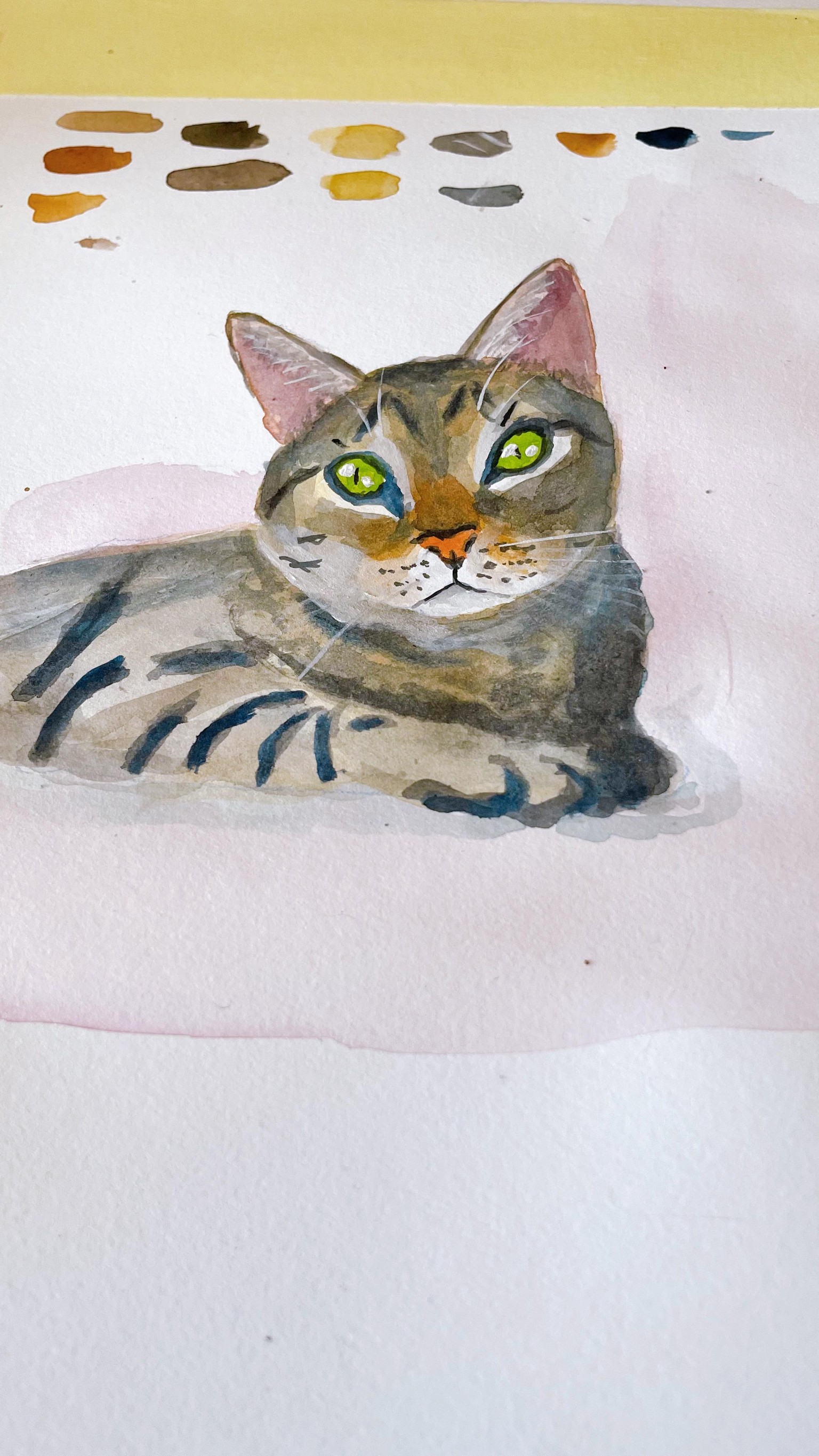 Cat portrait - image 1 - student project