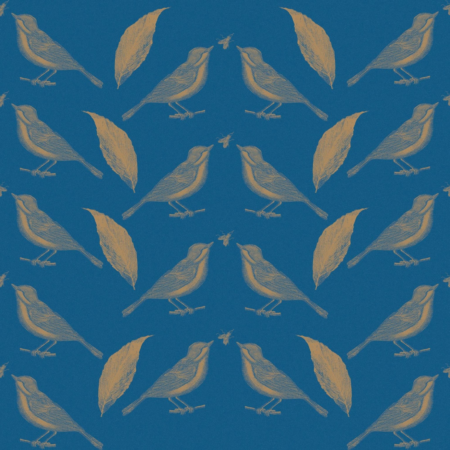 The bird and the fly - image 1 - student project
