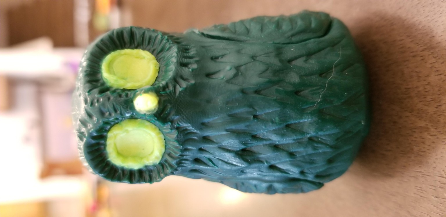 My 1st owl! - image 1 - student project