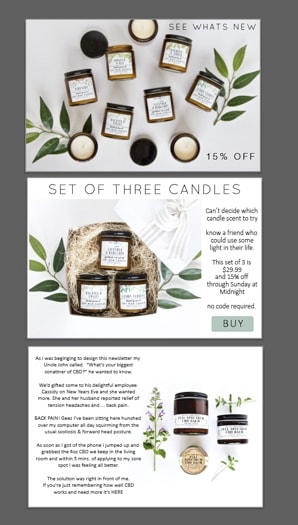 A Much Better Newsletter! - image 2 - student project