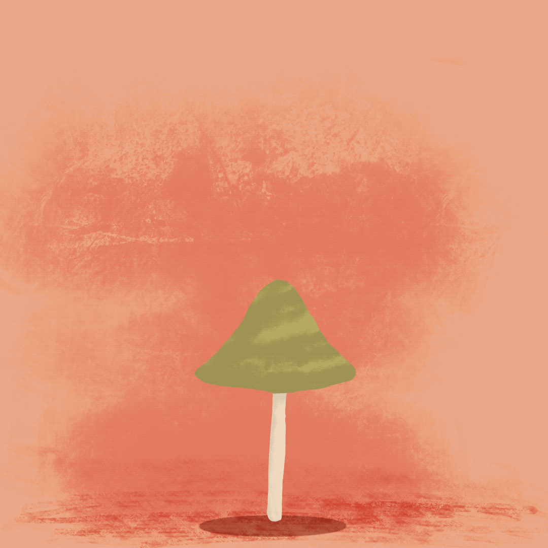 Mushroom - image 1 - student project