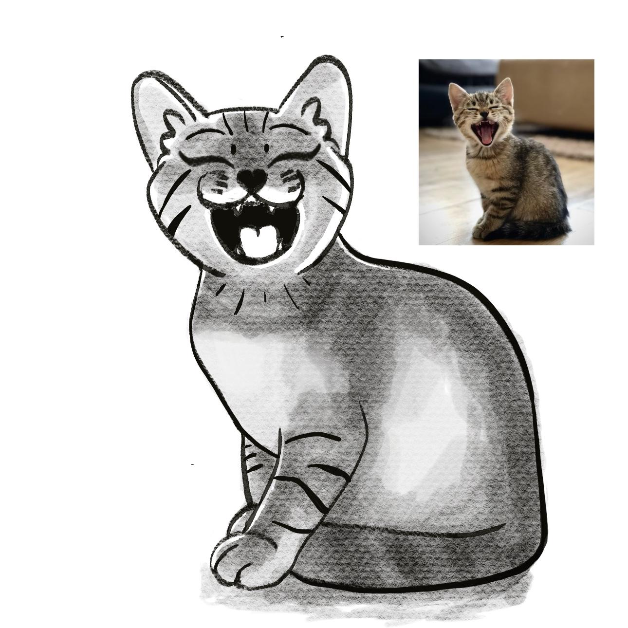Cat - image 1 - student project