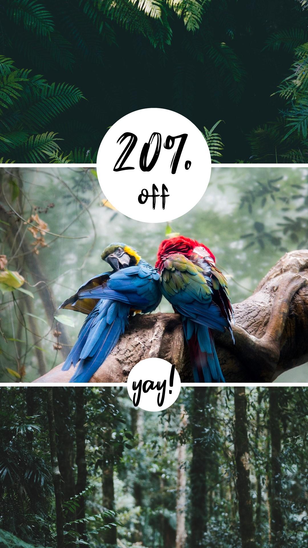 My Insta Story Slides! - image 4 - student project
