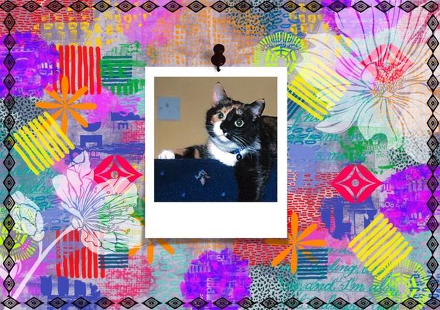 Mervyn’s Mixed Media Project - image 1 - student project