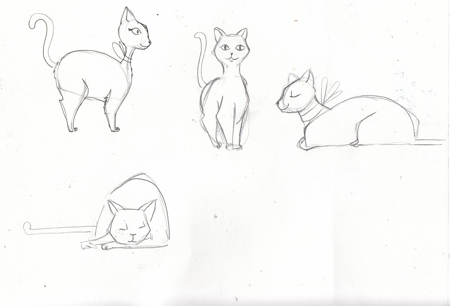 My cute cats - image 2 - student project