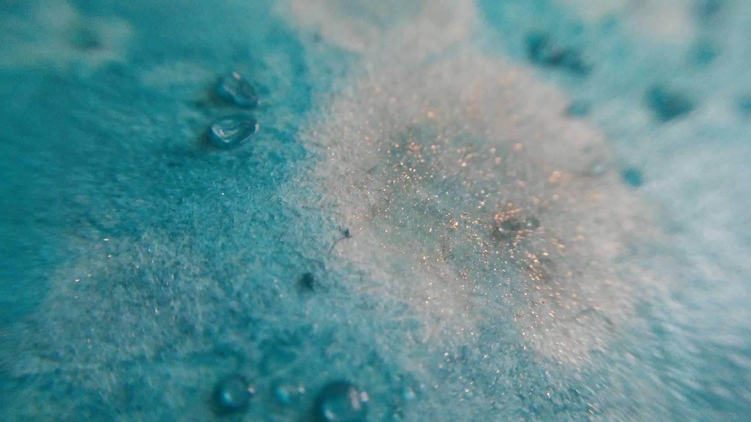 Sea life - image 5 - student project