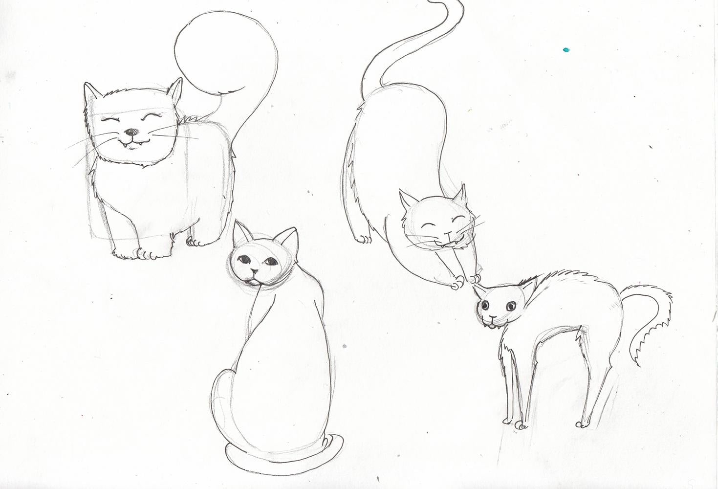 My cute cats - image 4 - student project