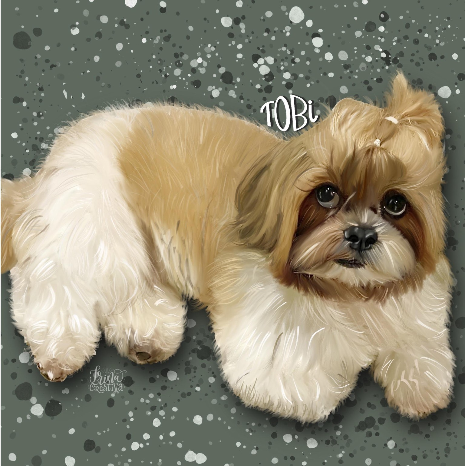 Tobi my dear shitZu - image 1 - student project