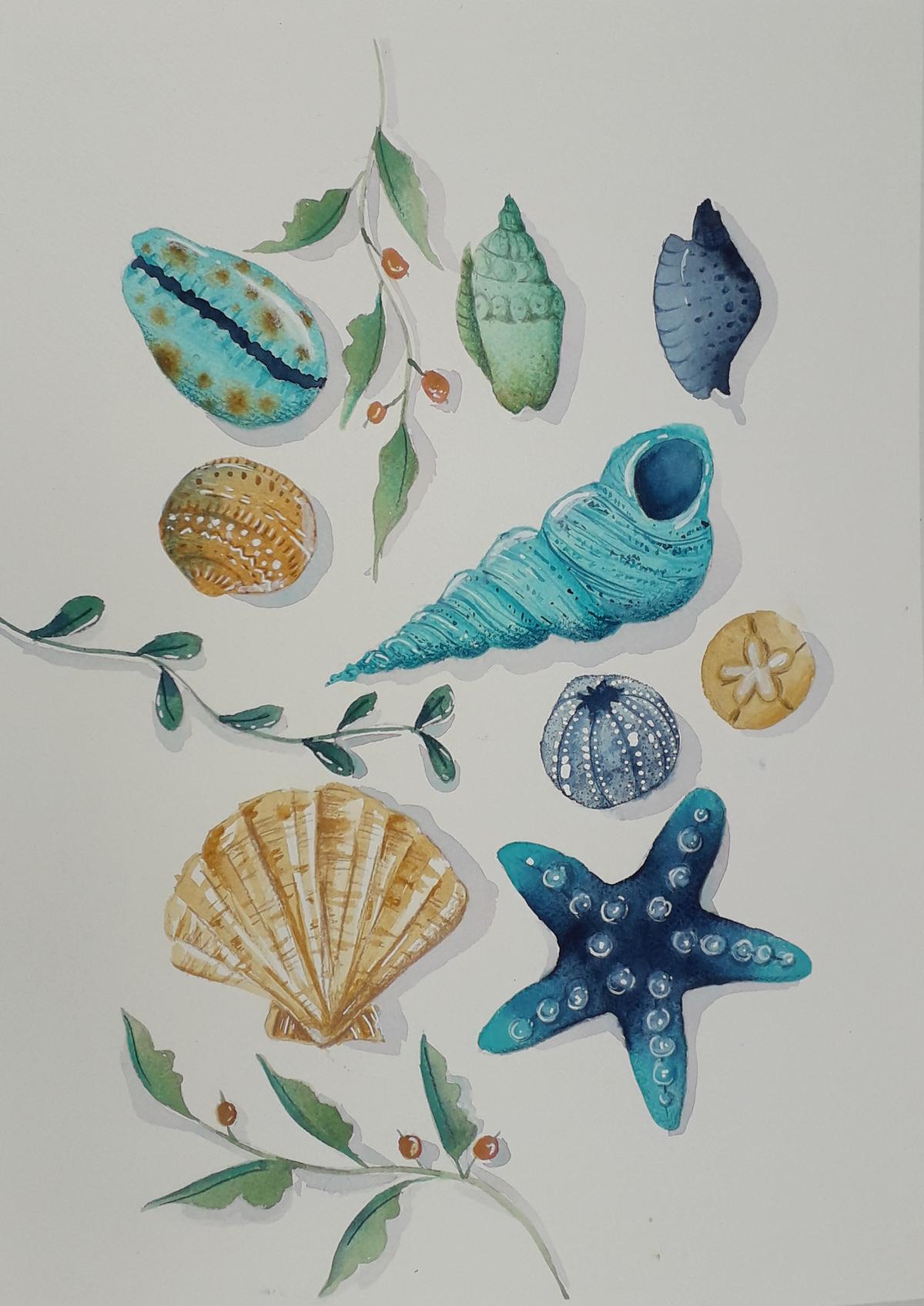 Coquillages - image 1 - student project