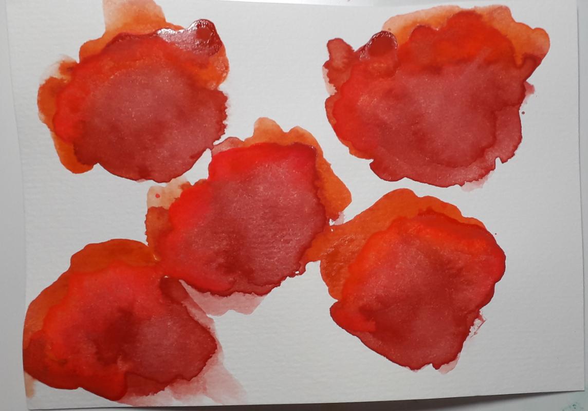 Blooms - image 1 - student project