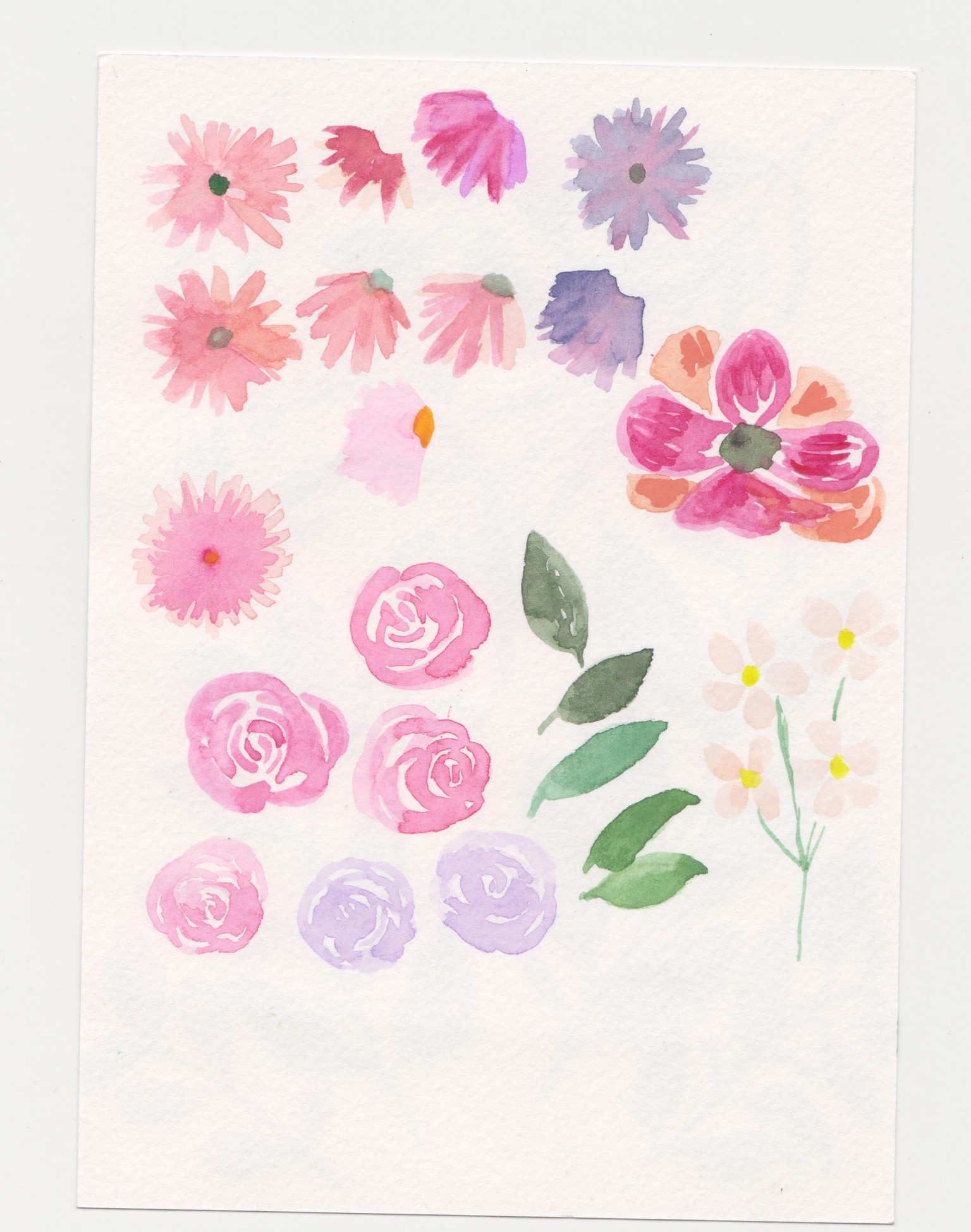 graphic design watercolor flowers - image 1 - student project