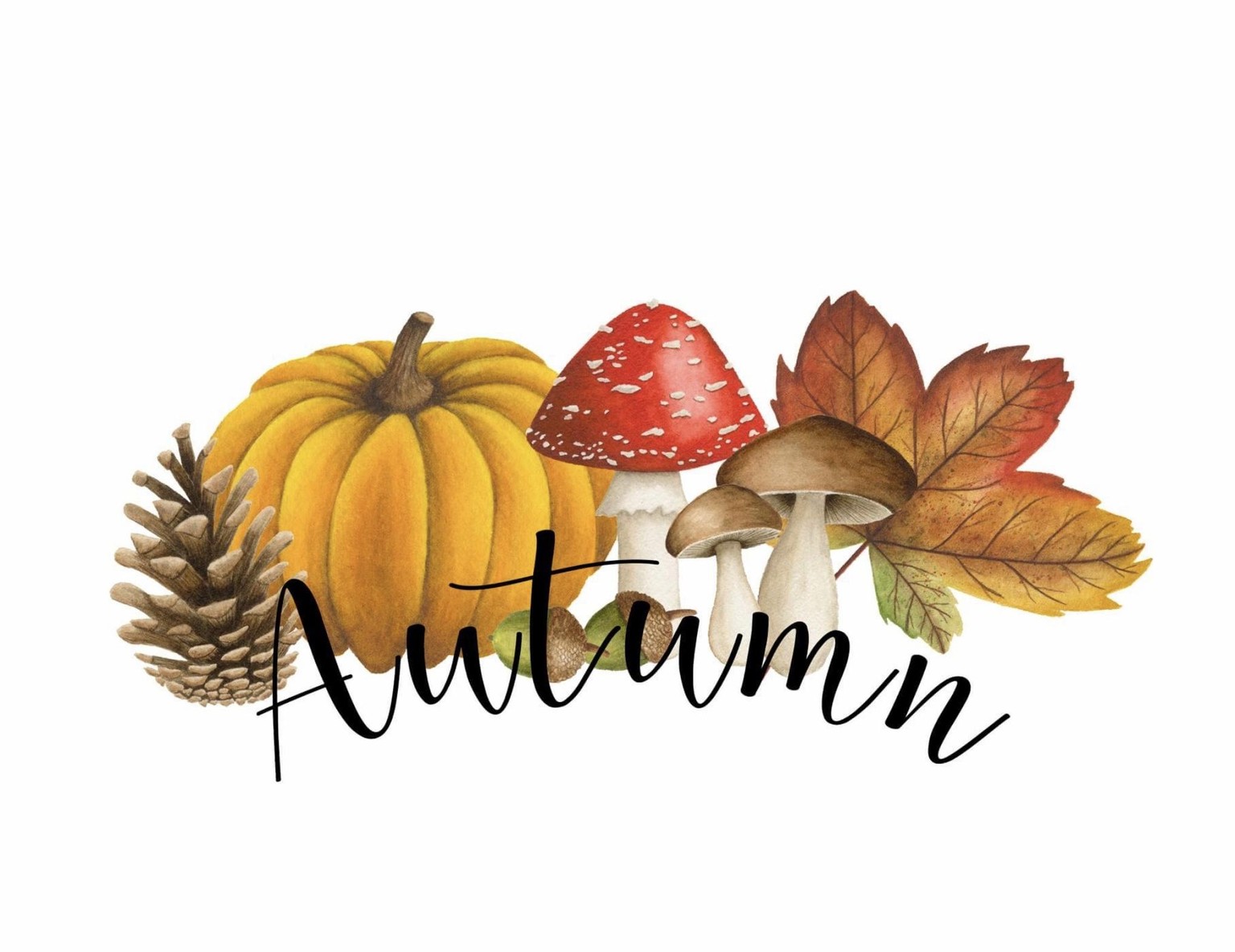 Autumn - image 1 - student project
