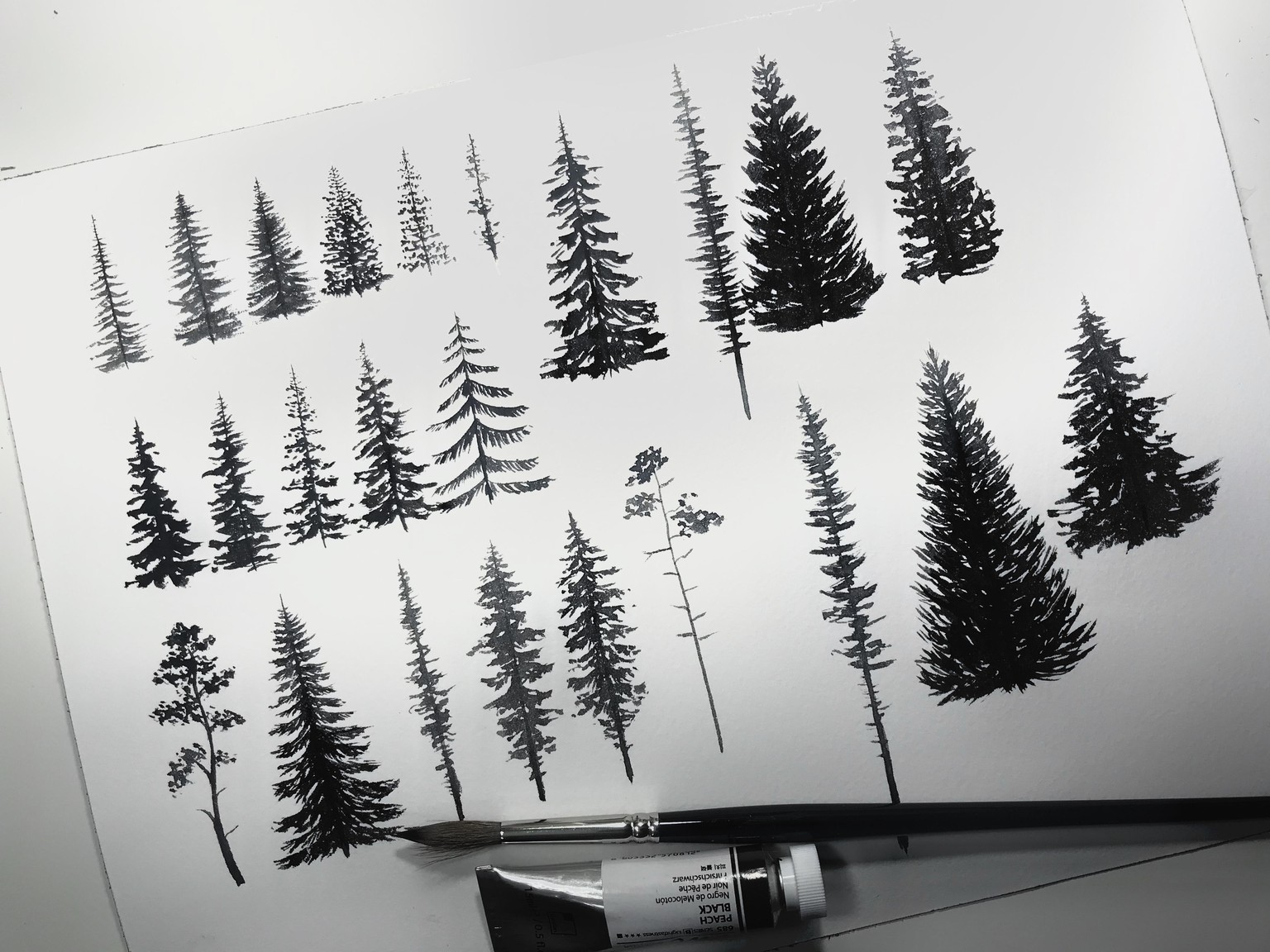 Camping amid the evergreens - image 1 - student project