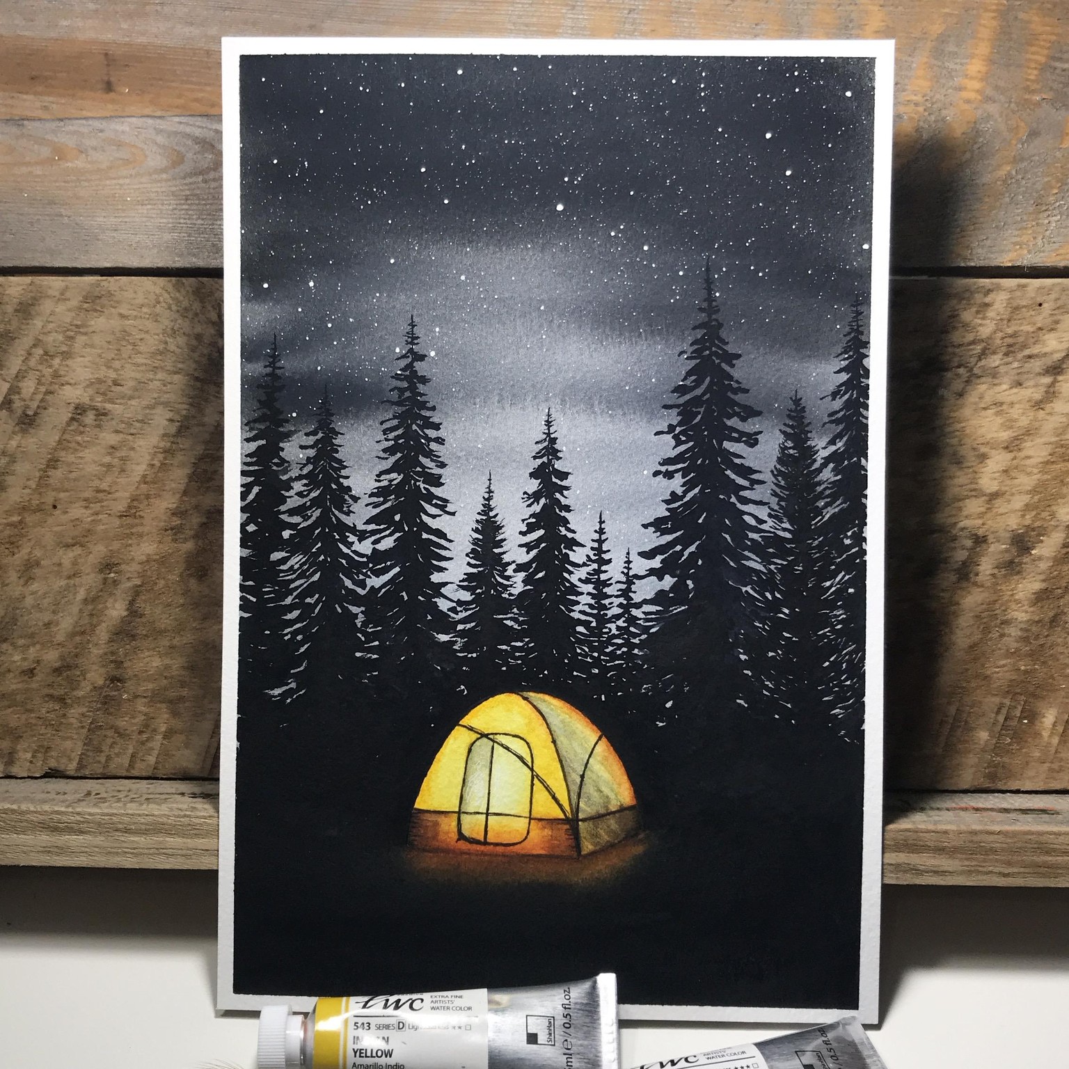Camping amid the evergreens - image 2 - student project