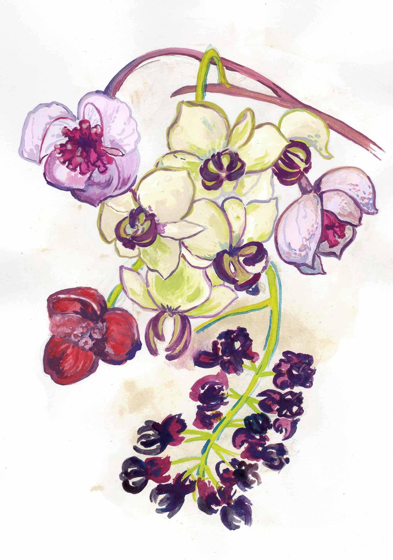Green an pink colour palette - image 3 - student project