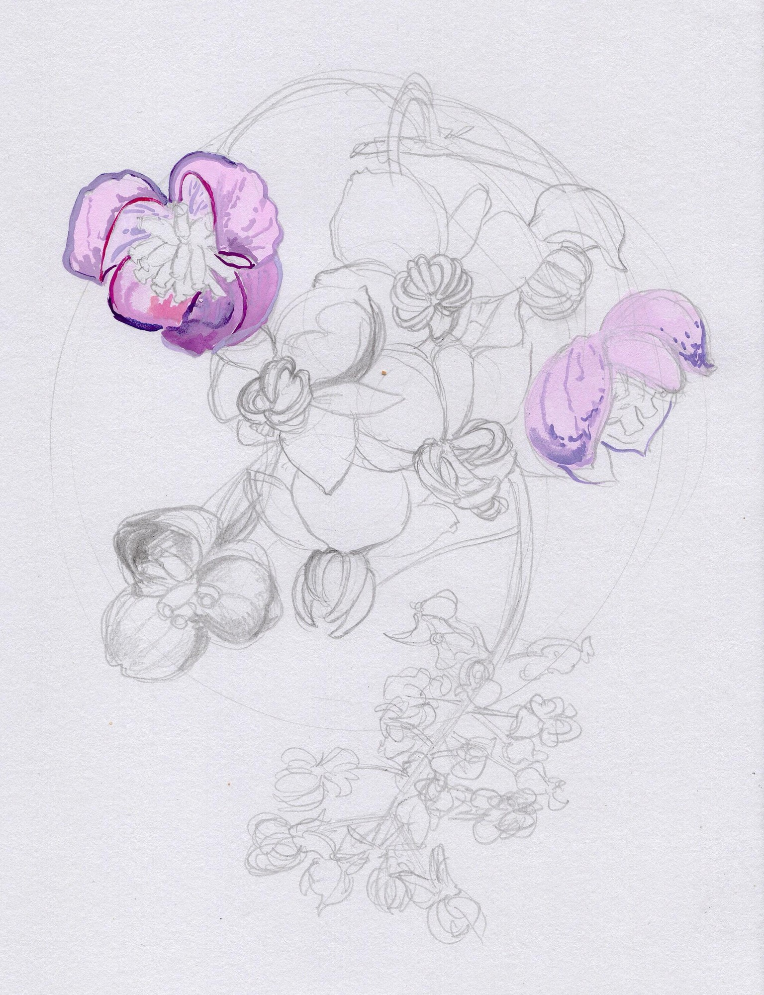 Green an pink colour palette - image 2 - student project
