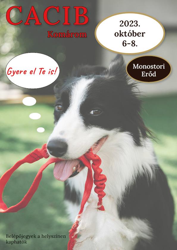 Dog Show poster - image 1 - student project