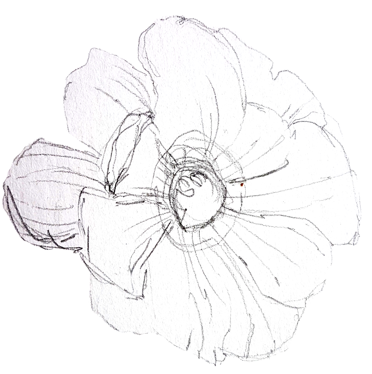 Wonderful White Winter - image 1 - student project