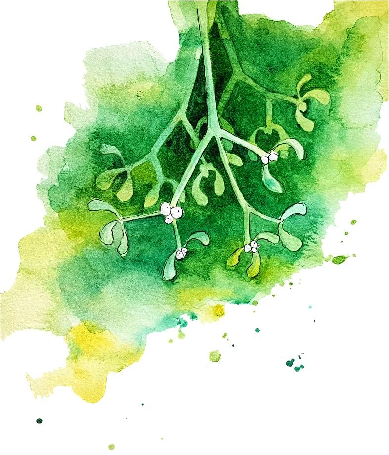 Kiss me under the Mistletoe - image 1 - student project