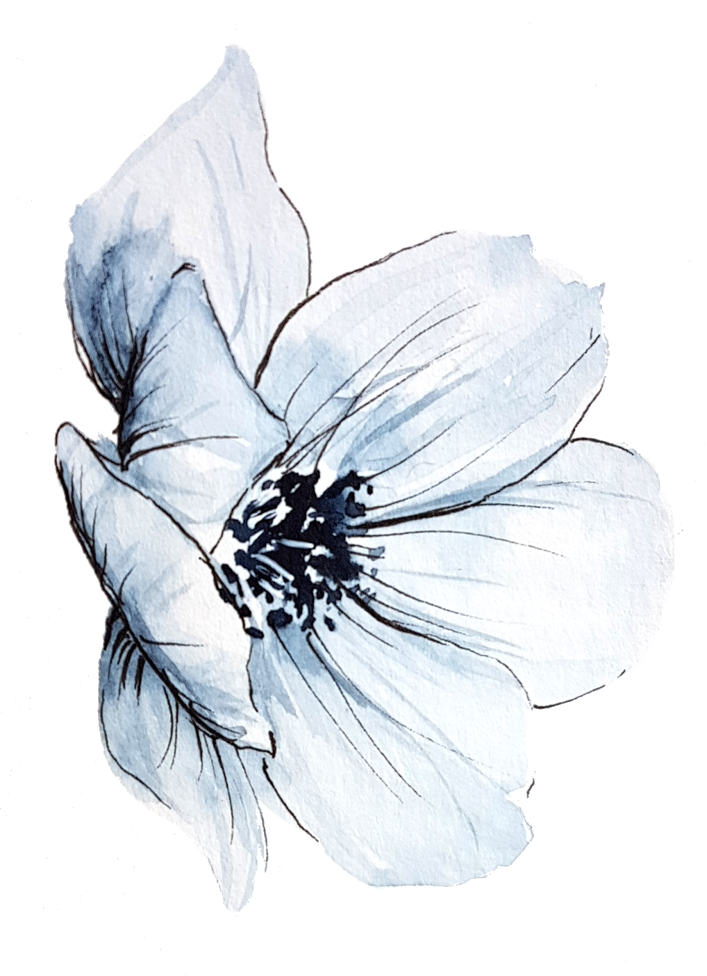 Wonderful White Winter - image 2 - student project