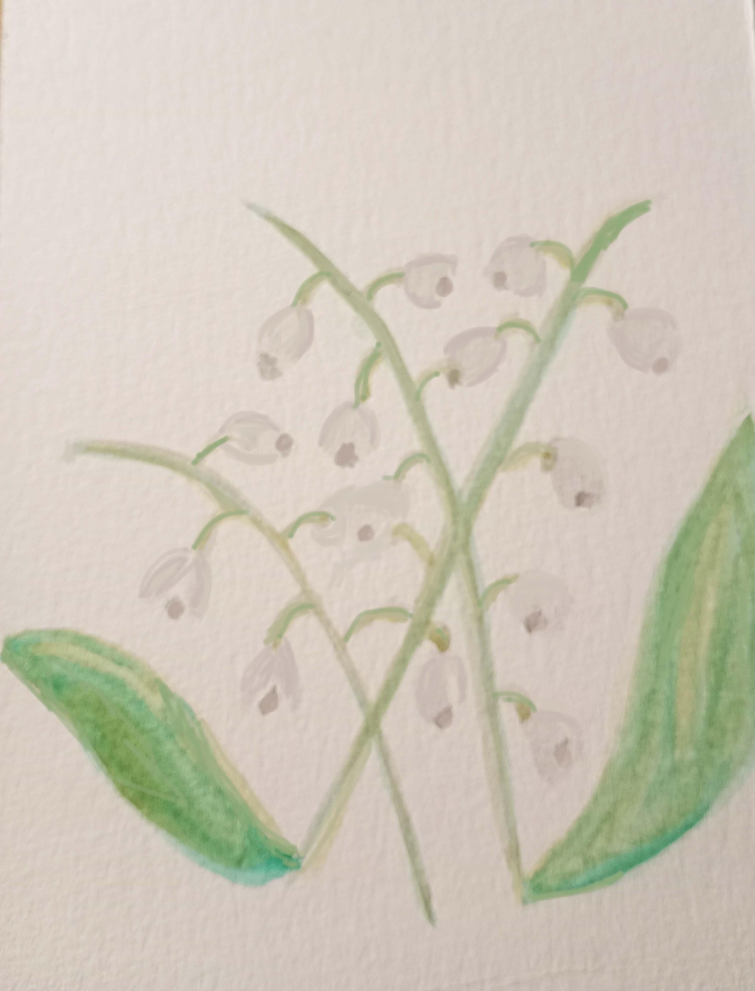Wonderful bouquet!! - image 2 - student project