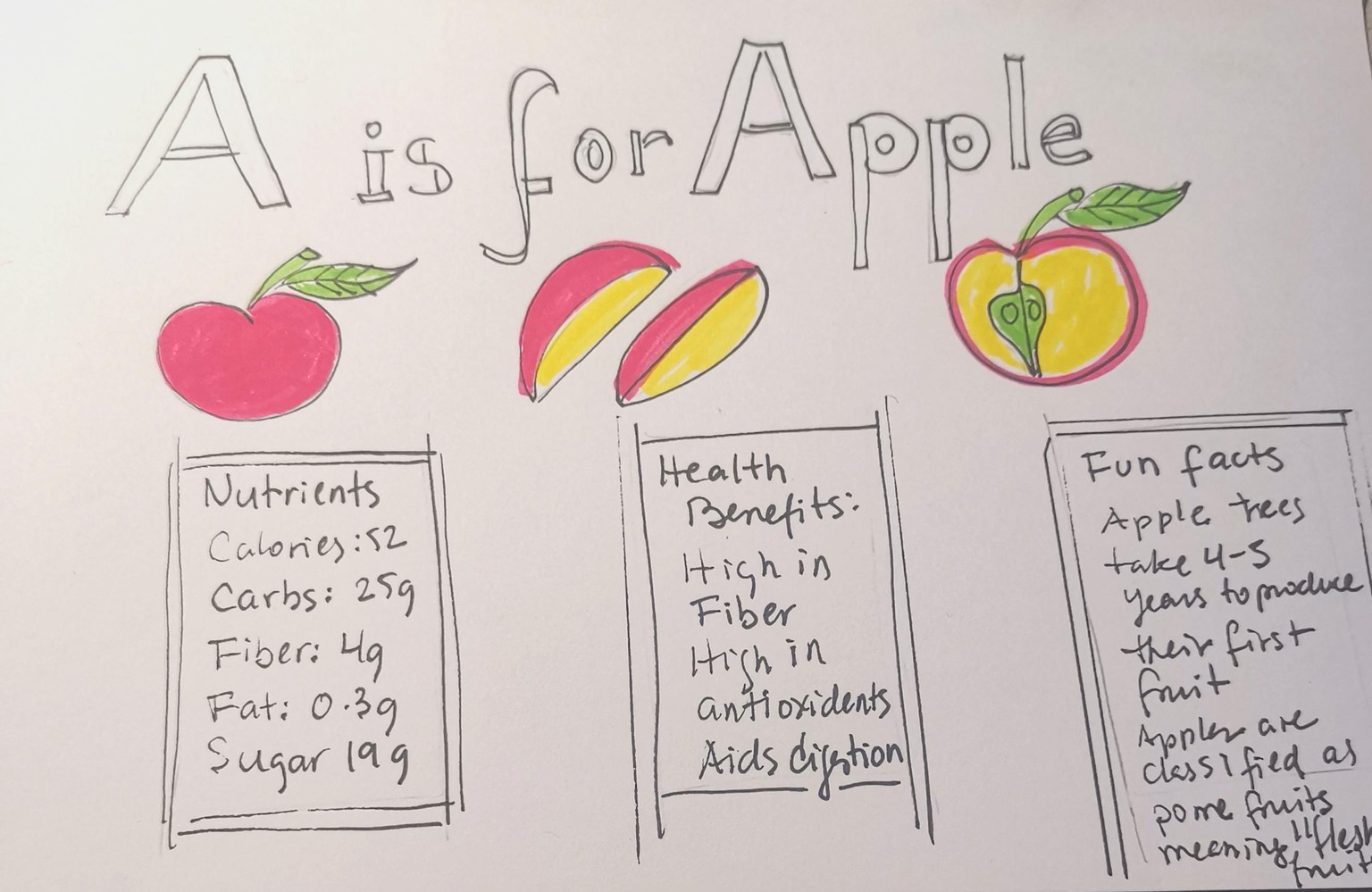A as for Apple - image 1 - student project