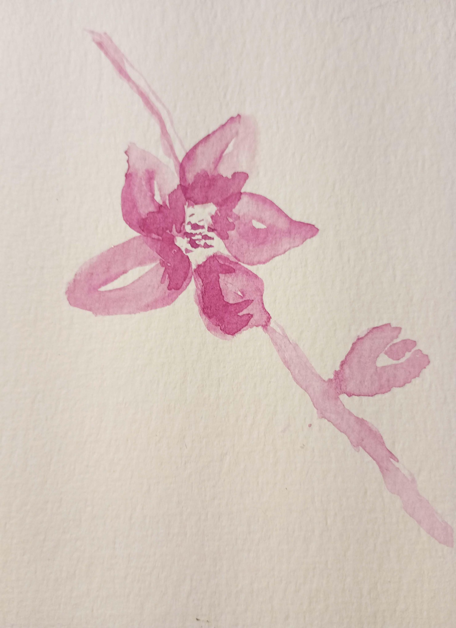 Loose watercolor flowers - image 3 - student project