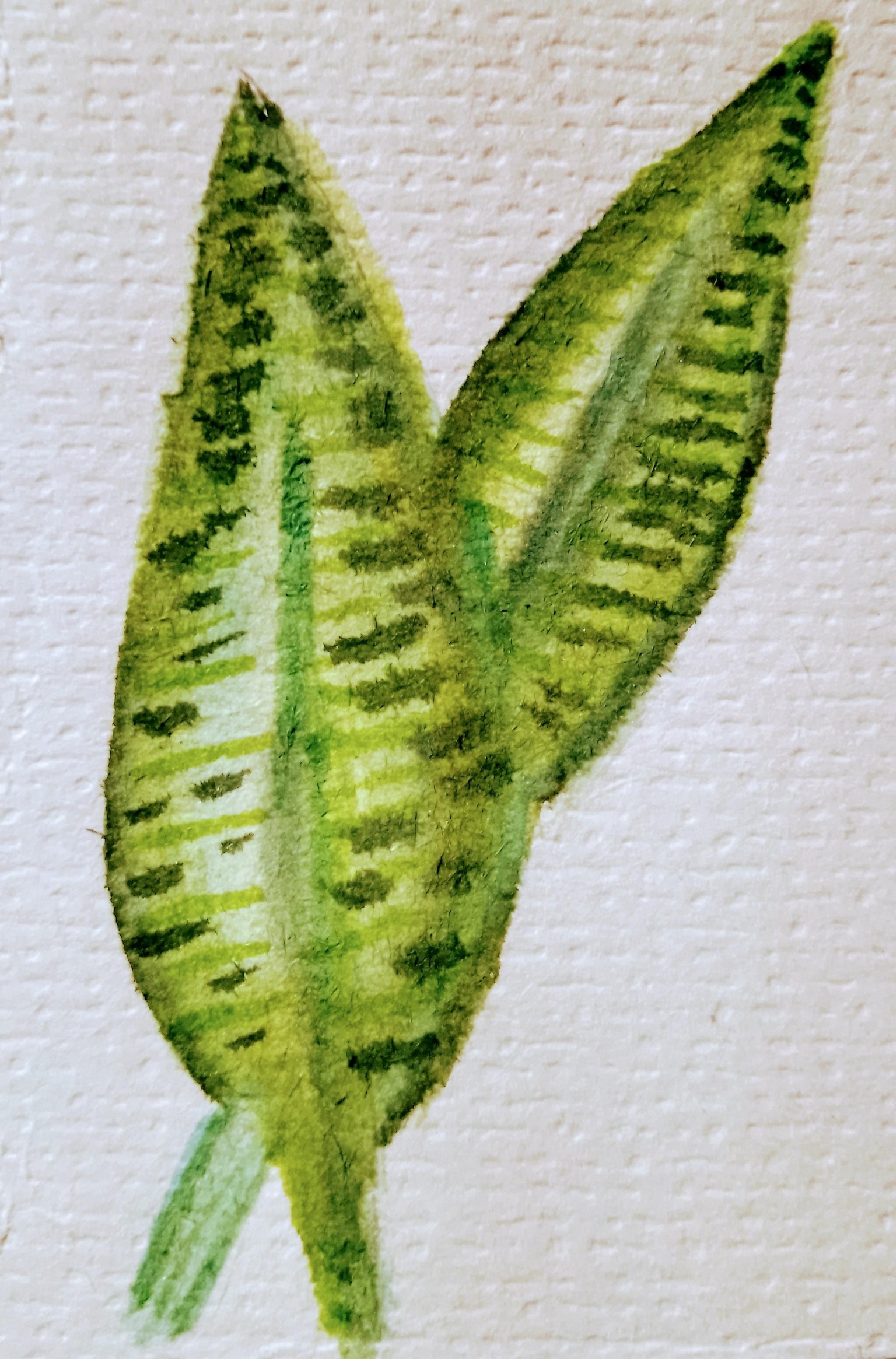 Watercolor brush pen - image 2 - student project