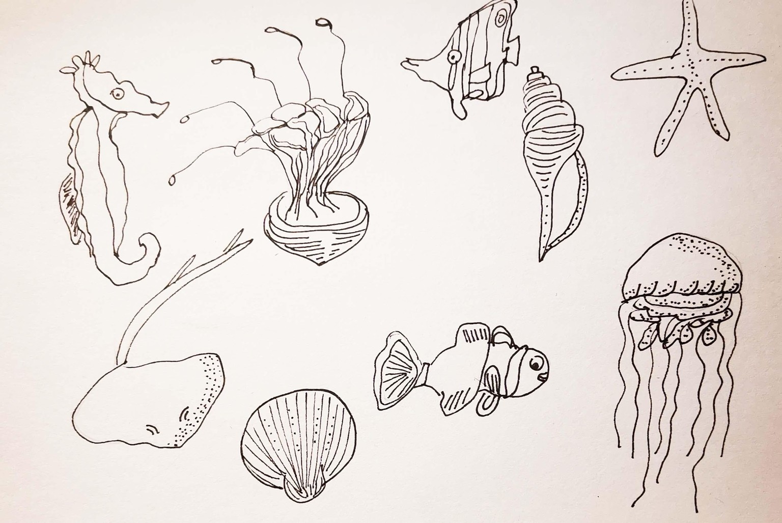 Jelly fish in ink - image 1 - student project