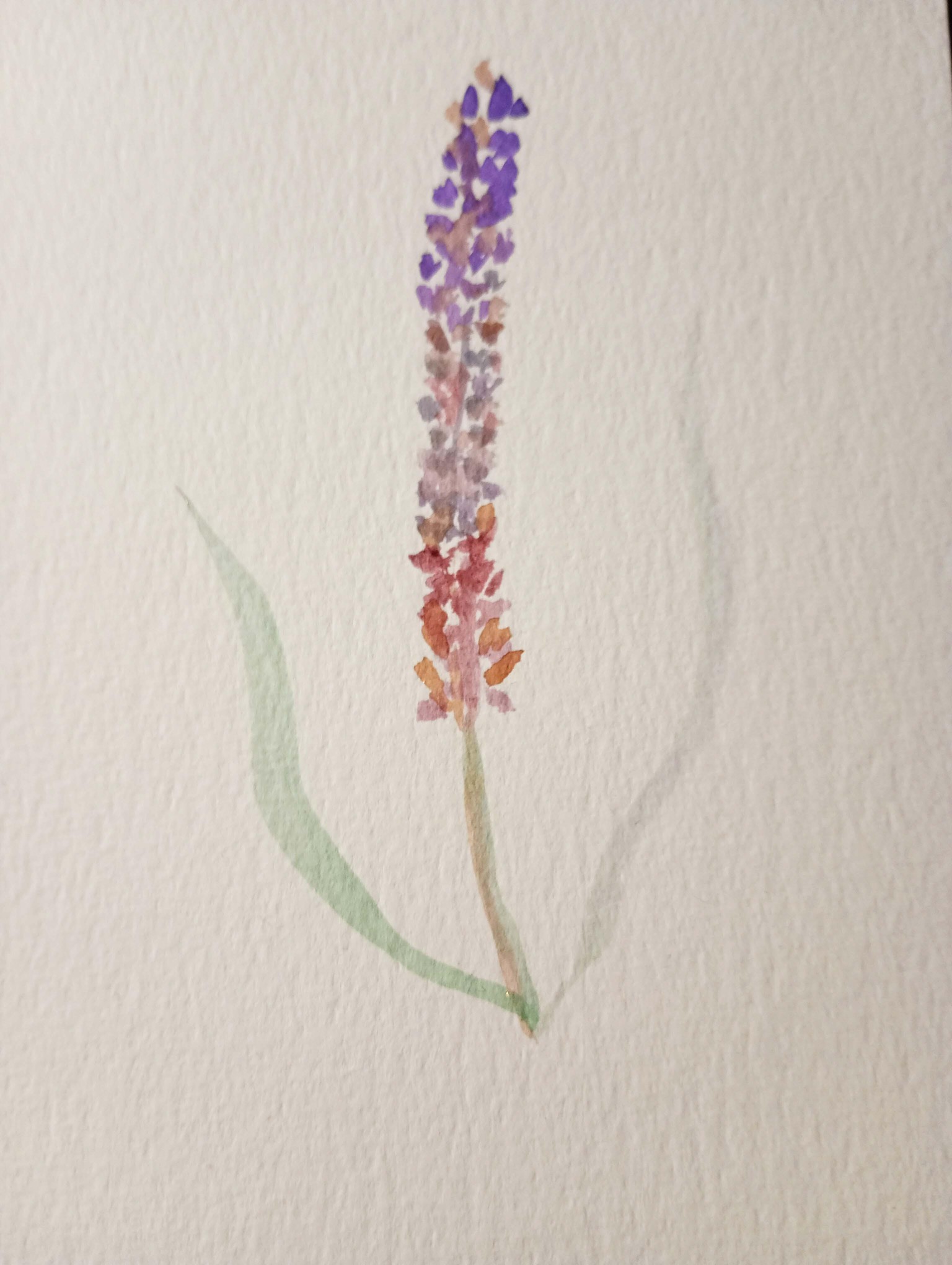 Loose watercolor flowers - image 1 - student project
