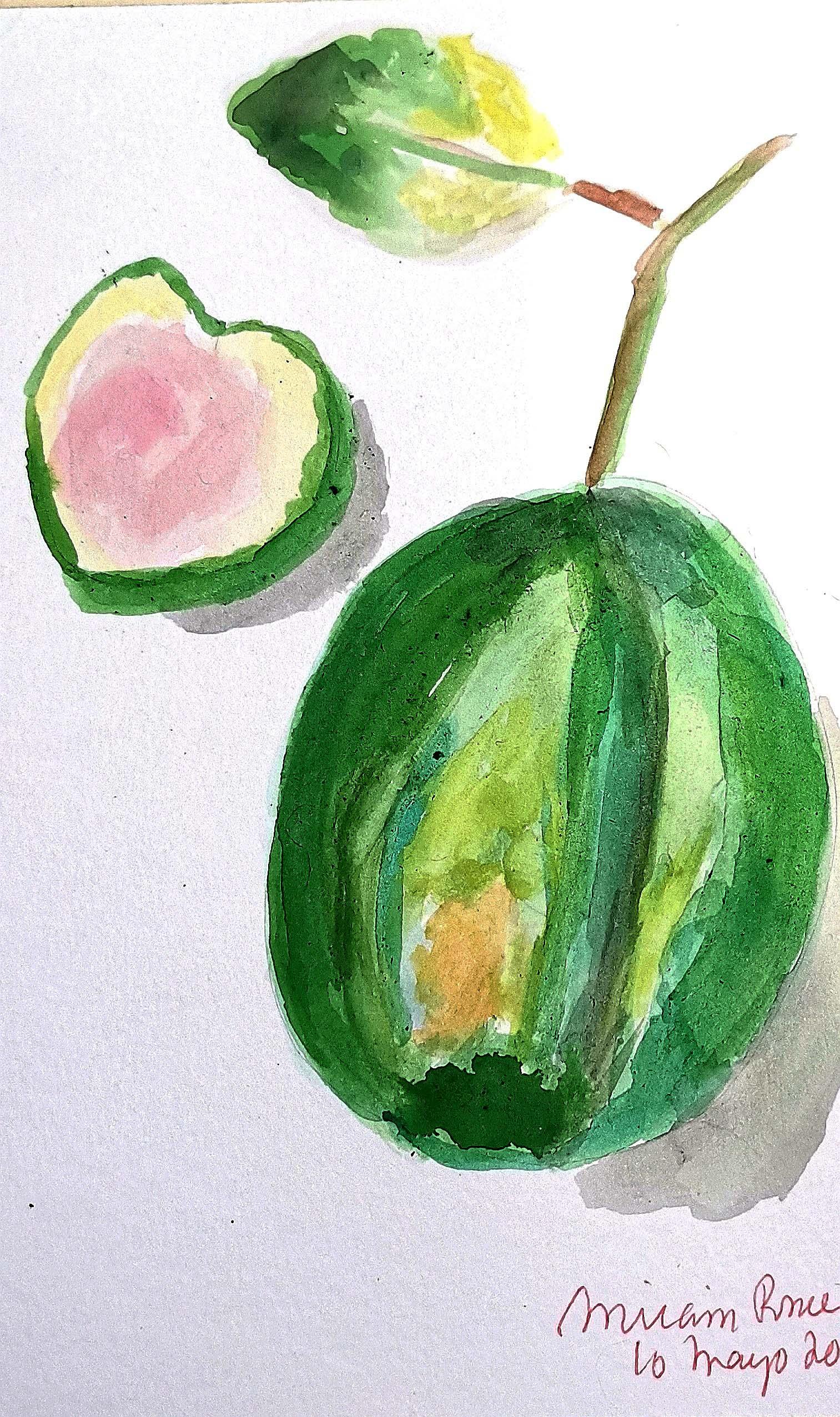 Watercolor guava - image 1 - student project