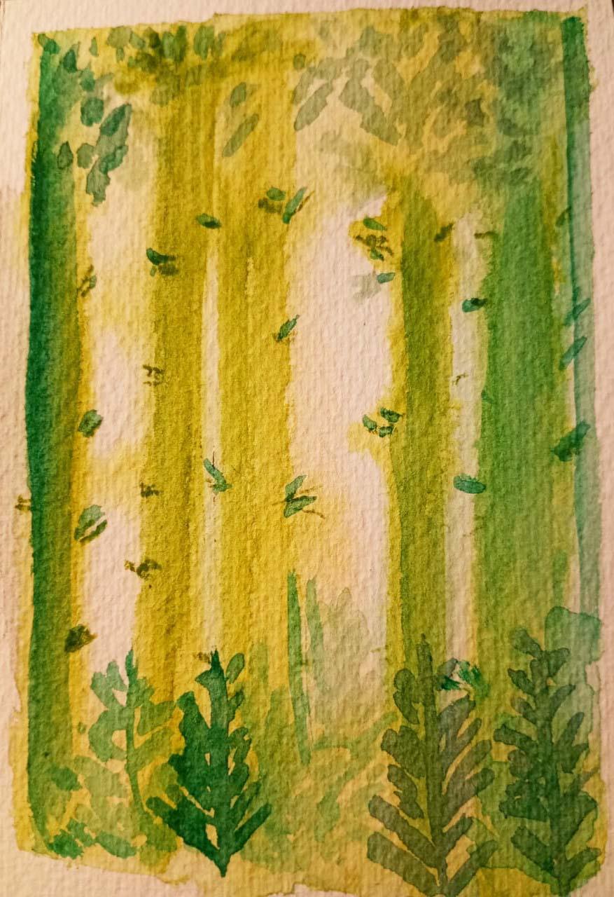 Forest: pine trees - image 1 - student project