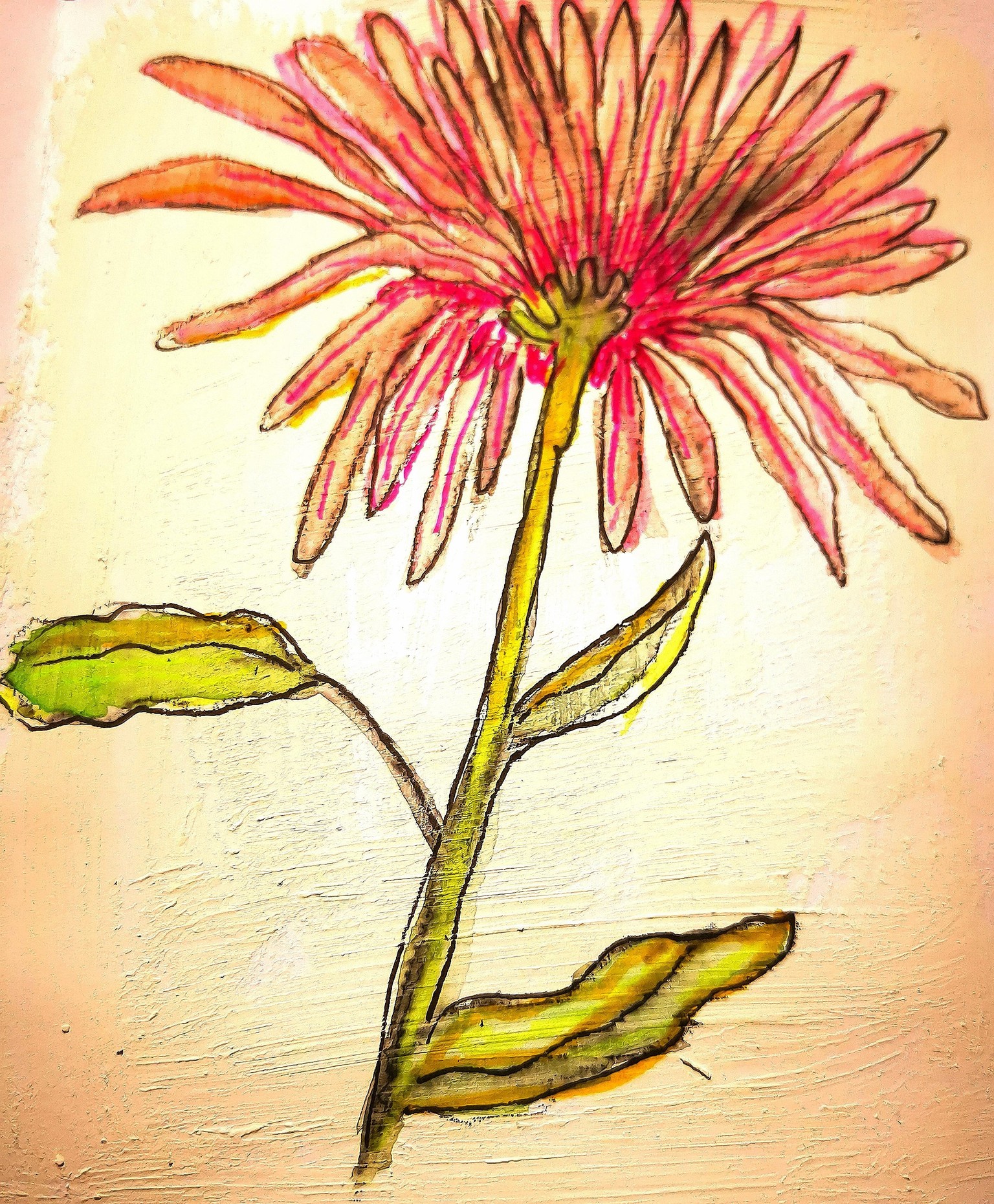 Flowers in ink ande watercolor - image 3 - student project