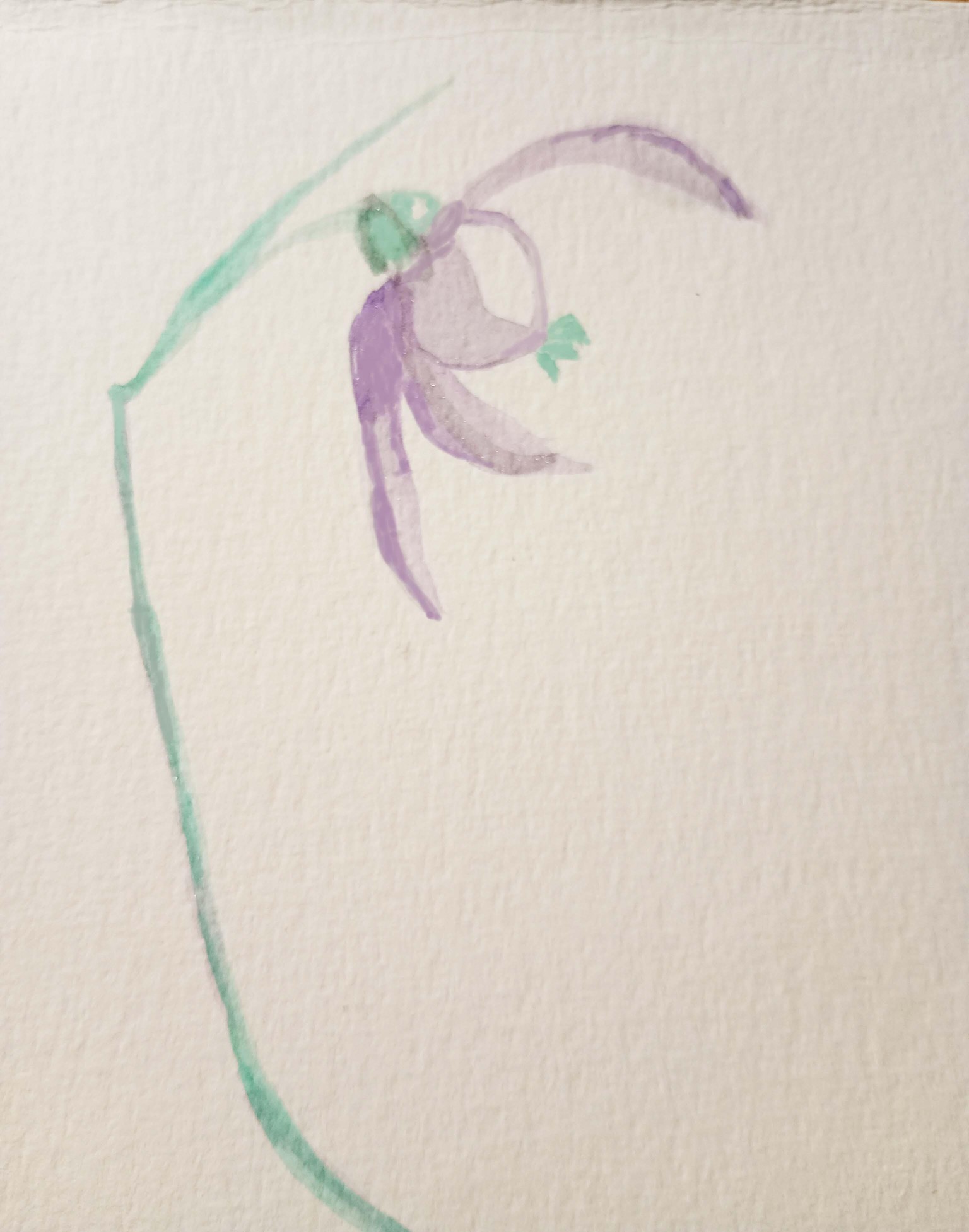 Wonderful bouquet!! - image 1 - student project