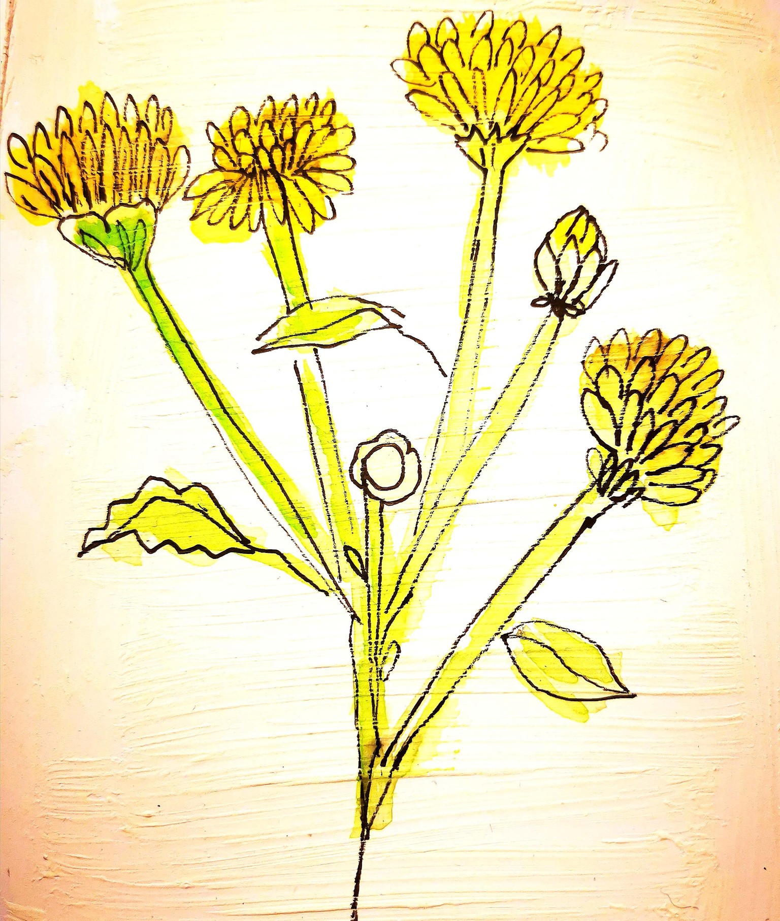 Flowers in ink ande watercolor - image 2 - student project