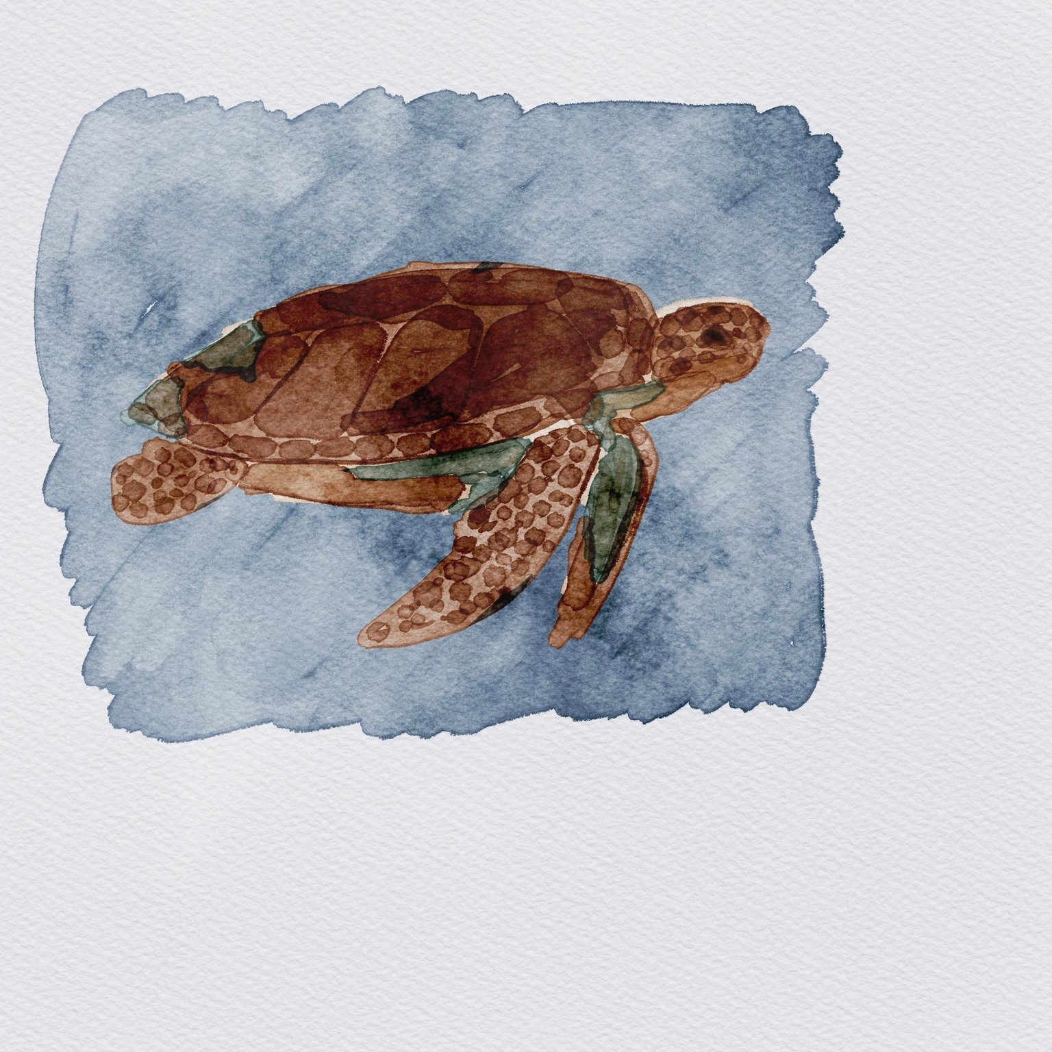 Digital Watercolor Shape Animals - image 2 - student project